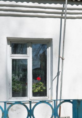 bir pencere içinde eski bir çiftlik kırmızı çiçek