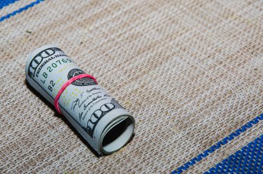 Sonbahar ormanında Amerikan doları, bükülmüş dolarlarla dolu yeşil yosun.