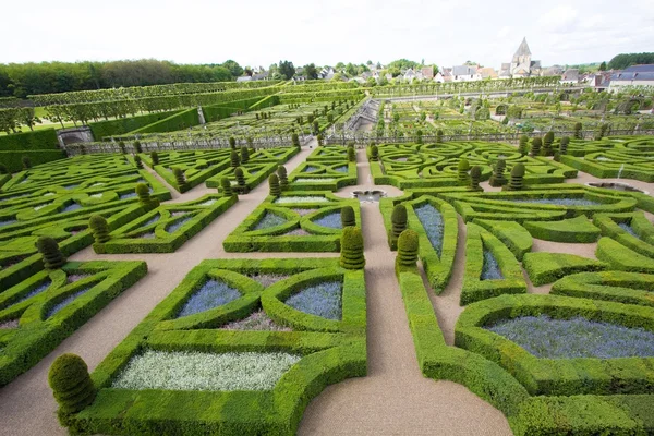 Ein grünes Labyrinth — Stockfoto