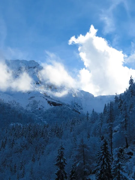 Sneeuw en de berg — Stockfoto