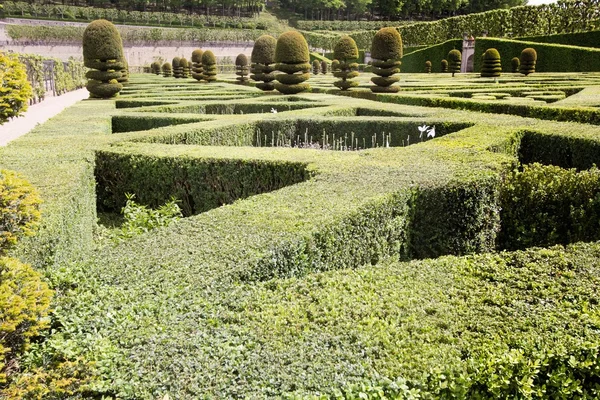 Un labirinto verde — Foto Stock