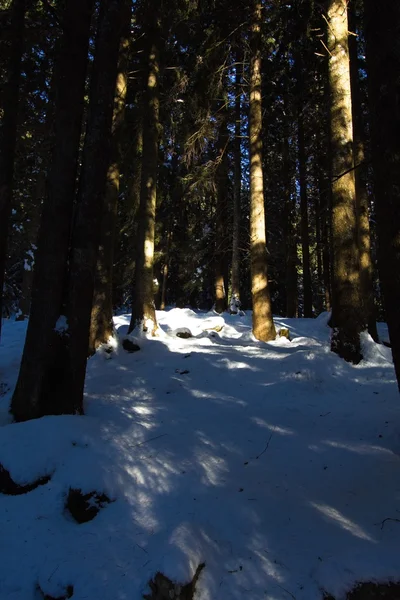 Snow and mountain — Stock Photo, Image