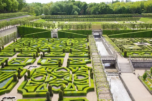 Un labyrinthe vert — Photo