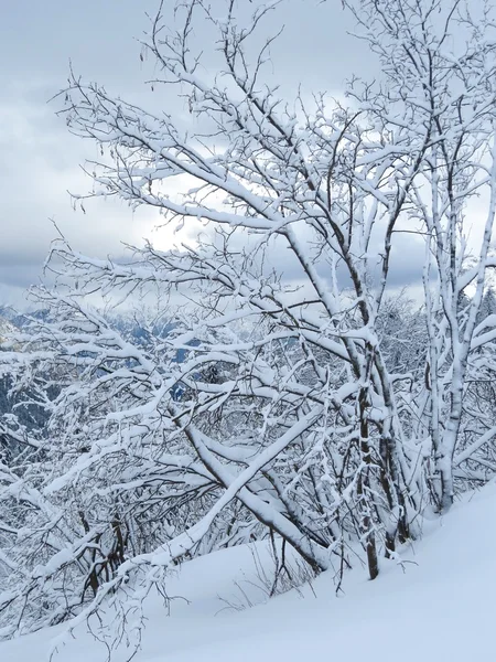 Kar ve dağ — Stok fotoğraf