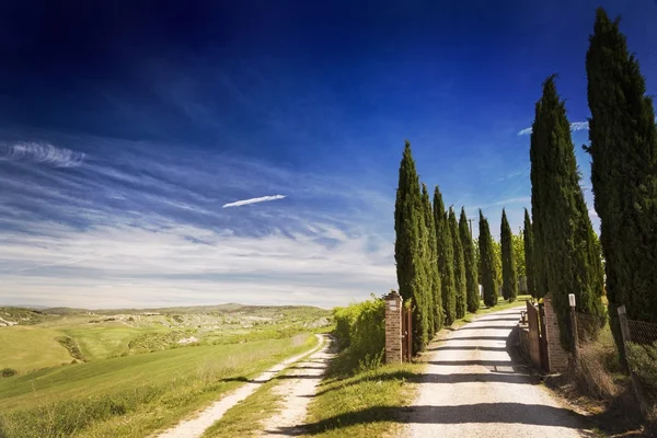 Un colline di Siena — Foto Stock