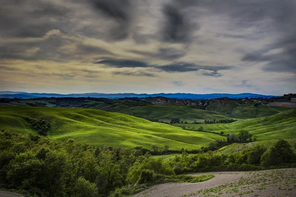 Un colline di Siena — Foto Stock