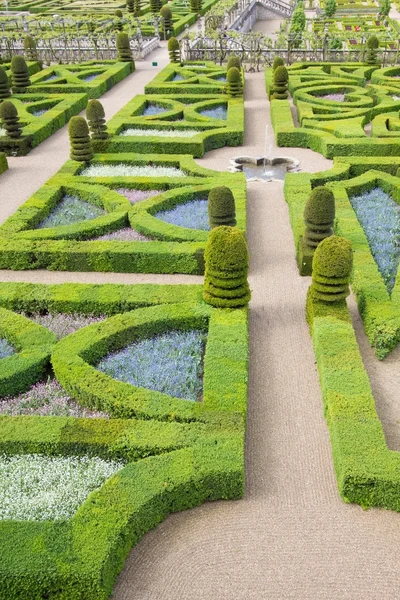 Un labirinto verde — Foto Stock