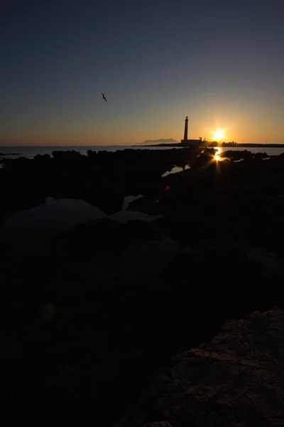 Favignana deniz feneri bir görünümünü — Stok fotoğraf