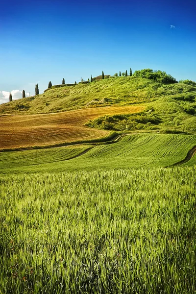 Een heuvels van Siena — Stockfoto