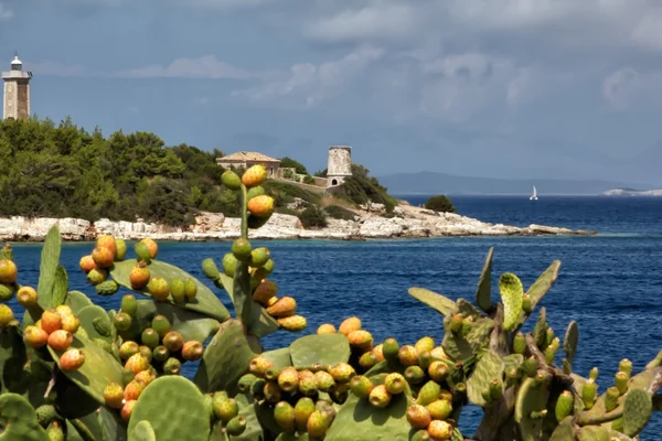 Fiscardo beach — Stock Photo, Image