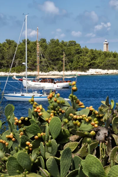 Fiscardo plaży — Zdjęcie stockowe