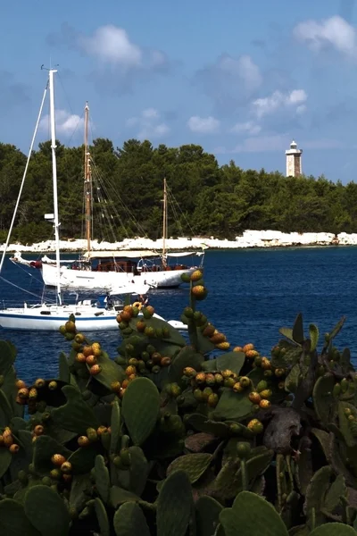 Playa de Fiscardo — Foto de Stock