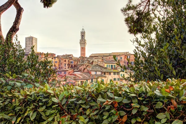 Siena — Stockfoto