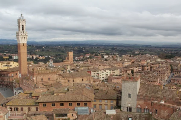 Siena — Stok fotoğraf