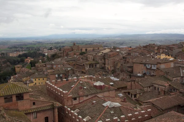 Siena — Stok fotoğraf