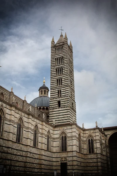 Siena — Stok fotoğraf