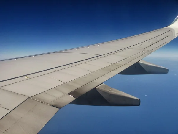 Fly and cloud — Stock Photo, Image