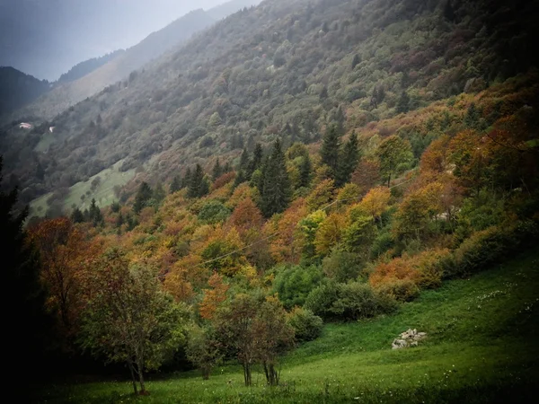 Fondo de otoño — Foto de Stock