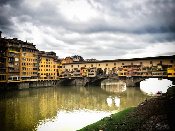 Florence gamla bro — Stockfoto