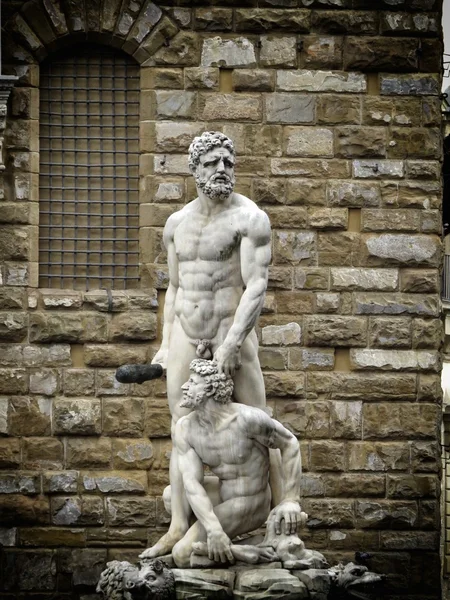 Florence statue — Stock Photo, Image