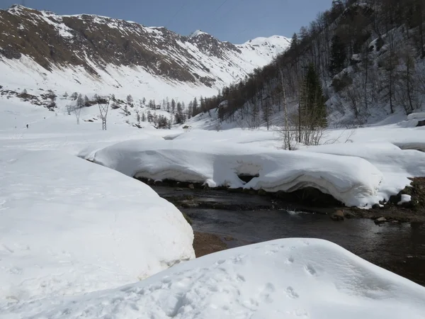 Hegyi kilátás — Stock Fotó