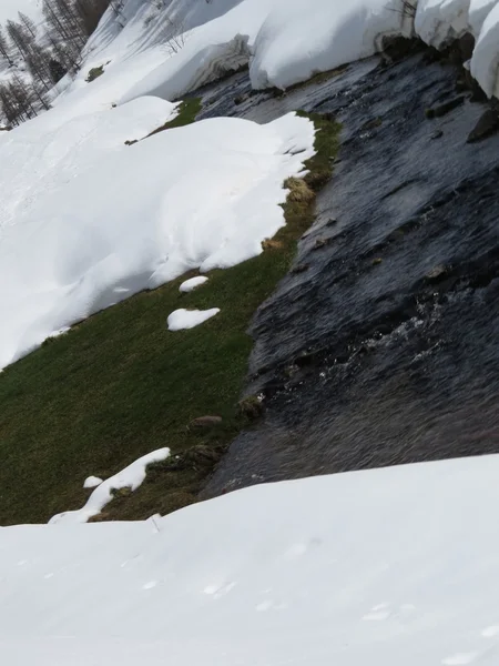 Vue sur la montagne — Photo