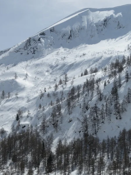 Bergblick — Stockfoto