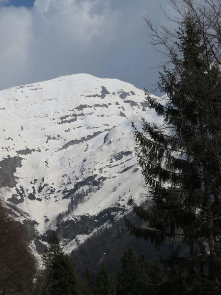 Bergblick — Stockfoto