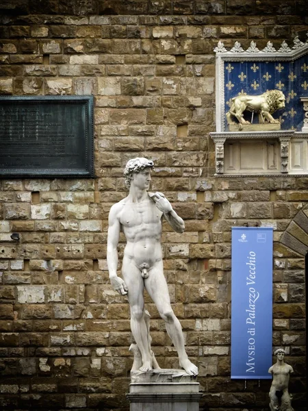 David statue — Stock Photo, Image