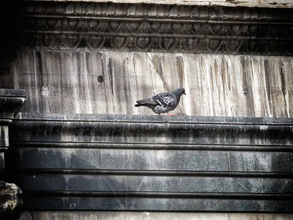 Florenz-Kathedrale — Stockfoto