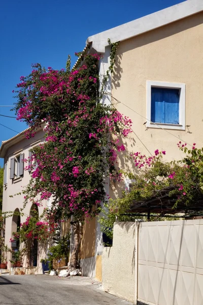 Blomsterhus – stockfoto