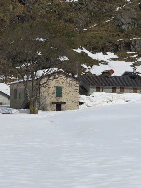 Bergblick — Stockfoto