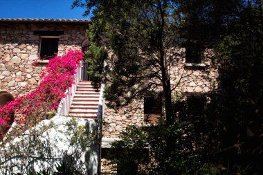 çiçek evi