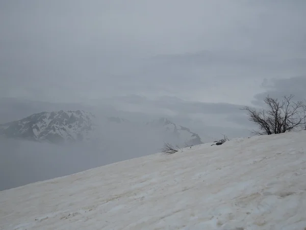 Vue sur la montagne — Photo