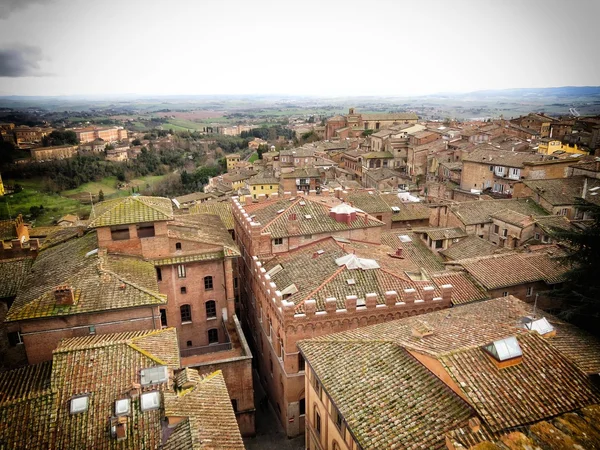 Siena — Stok fotoğraf