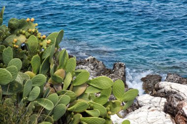 Lipari Adası Sicilya