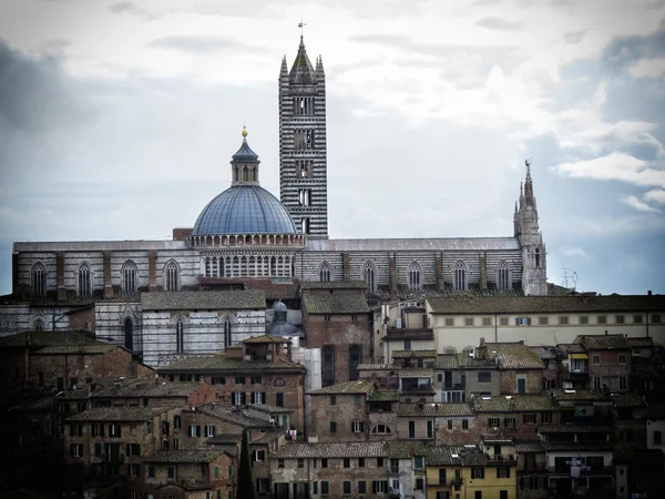 Siena — Stock Photo, Image