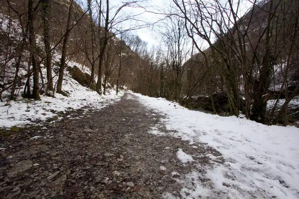 Vue sur la montagne — Photo