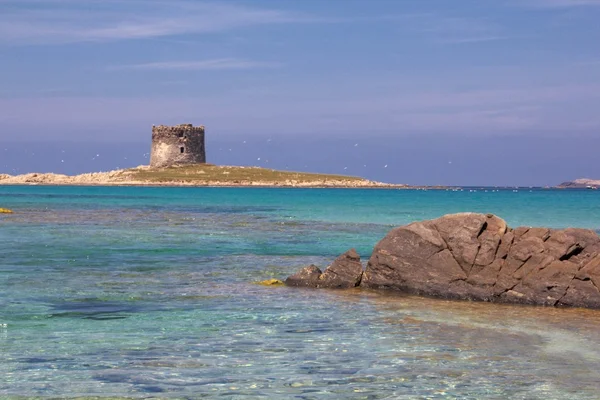 Stintino beach — Stock Photo, Image