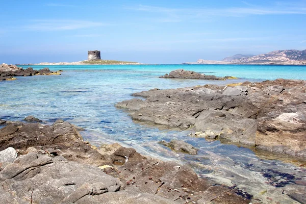 Stintino beach — Stock fotografie