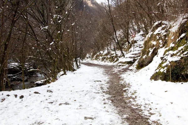 Bergblick — Stockfoto