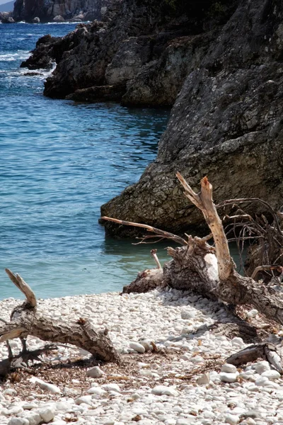 Dafnoudi-Strand — Stockfoto