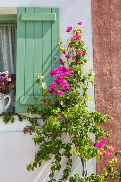 Flower house — Stockfoto