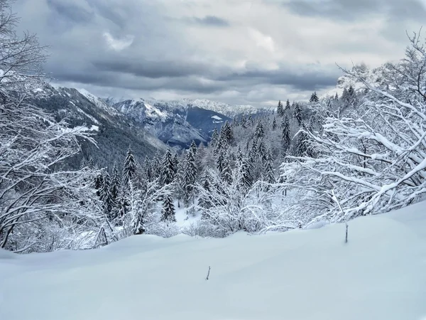 Schnee und Berge — Stockfoto