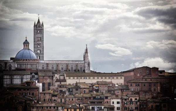 Siena — Stock fotografie