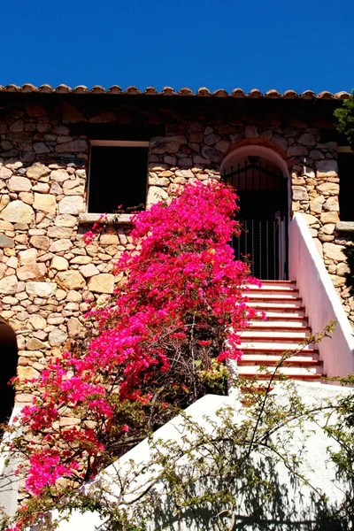 Casa da flor — Fotografia de Stock