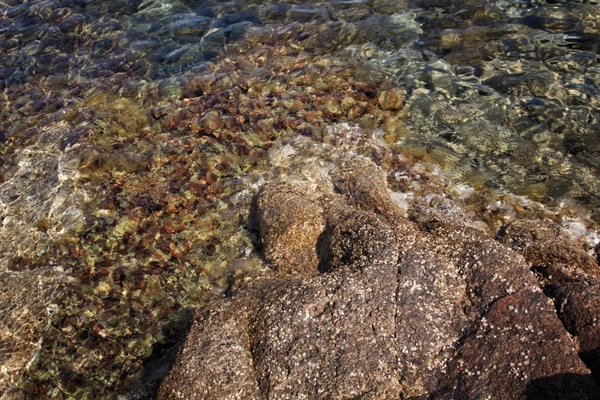 Sardunya Plajı — Stok fotoğraf