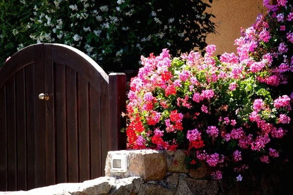 Flower house — Stockfoto