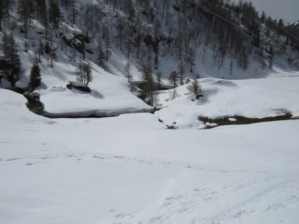 Widok na góry — Zdjęcie stockowe