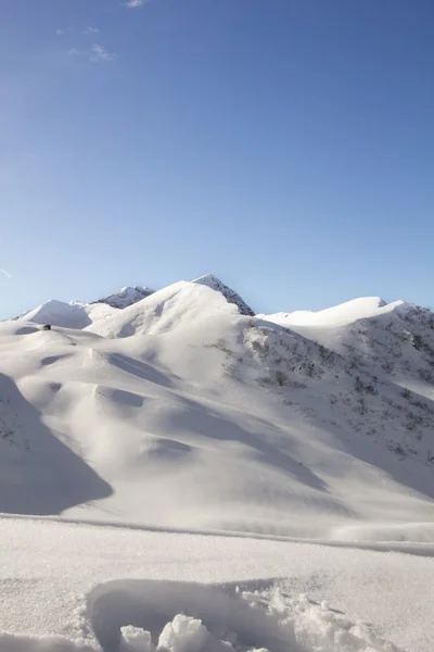 Sneeuw en de berg — Stockfoto